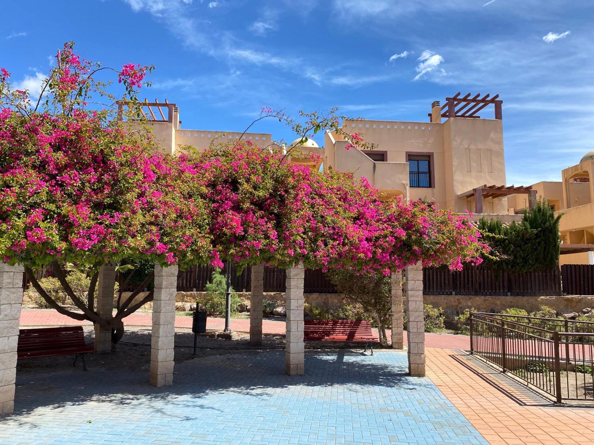 Apartamento Maria Isabel En Los Collados Golf - アギラス エクステリア 写真
